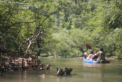 Khaosok National Park Tours