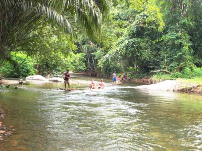 HALF DAY KHAOLAK BAMBOO RAFTING