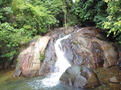 HALF DAY KHAOLAK BAMBOO RAFTING