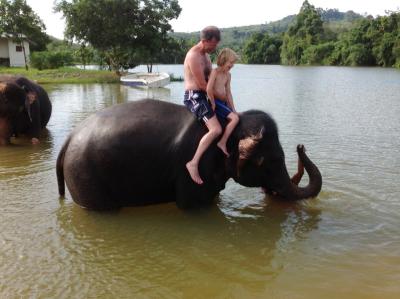 HALF DAY ELEPHAT BATHING&FEEDING