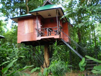 OVERNIGHT KHAO SOK NATIONAL PARK (TREE HOUSE / JUNGLE HUT)