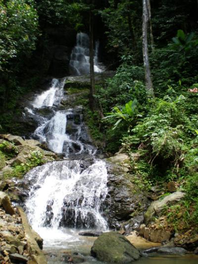 OVERNIGHT KHAO SOK NATIONAL PARK (TREE HOUSE / JUNGLE HUT)