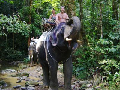 OVERNIGHT KHAO SOK NATIONAL PARK (TREE HOUSE / JUNGLE HUT)