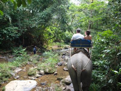 OVERNIGHT KHAO SOK NATIONAL PARK (TREE HOUSE / JUNGLE HUT)