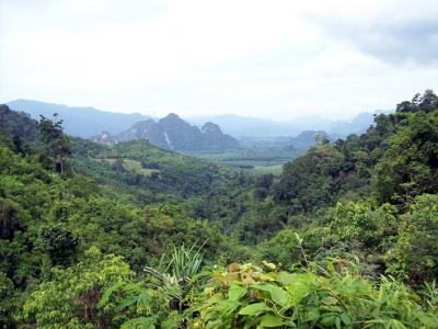 OVERNIGHT KHAO SOK LAKE RAFT HOUSE