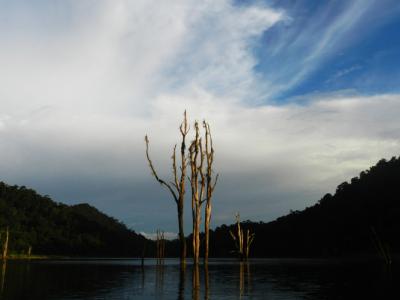 OVERNIGHT KHAO SOK LAKE RAFT HOUSE