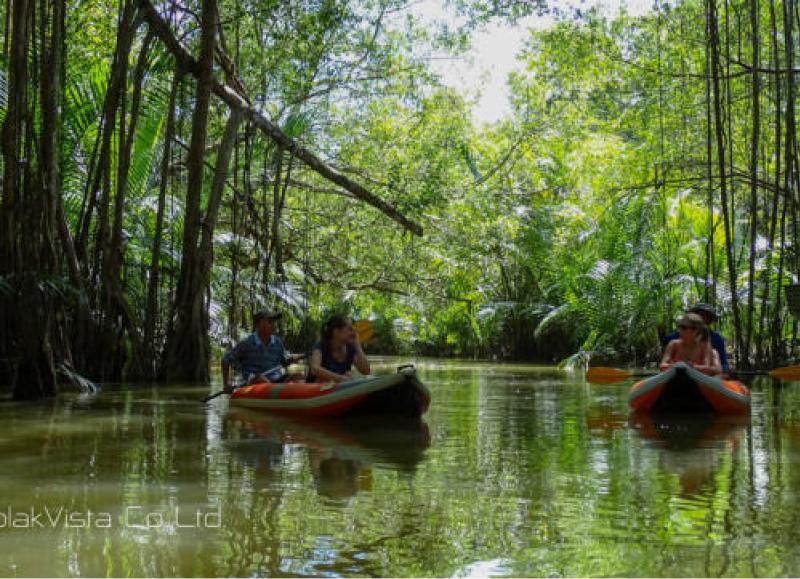Little Amazon & Local Sightseeing Day Trip