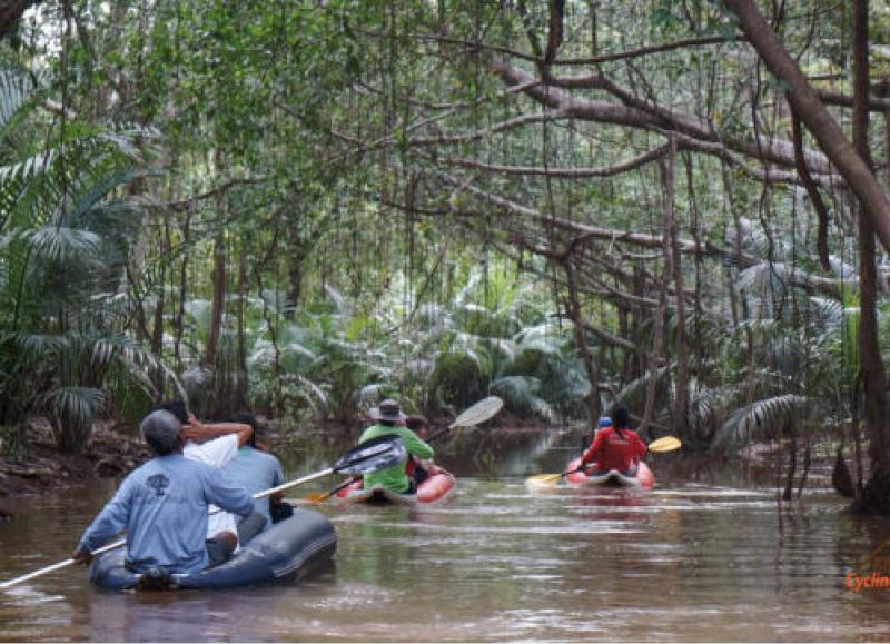 Little Amazon & Local Sightseeing Day Trip