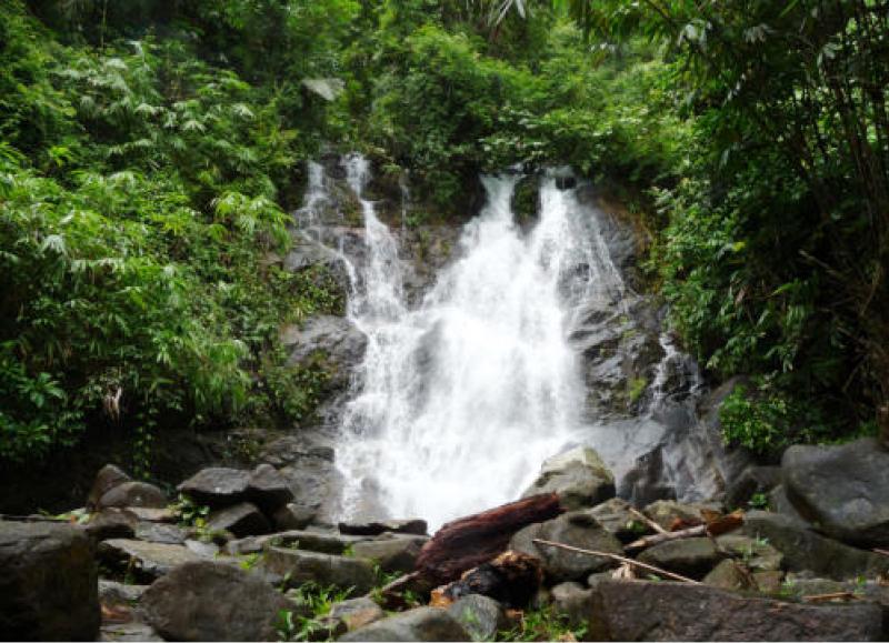 Little Amazon & Local Sightseeing Day Trip