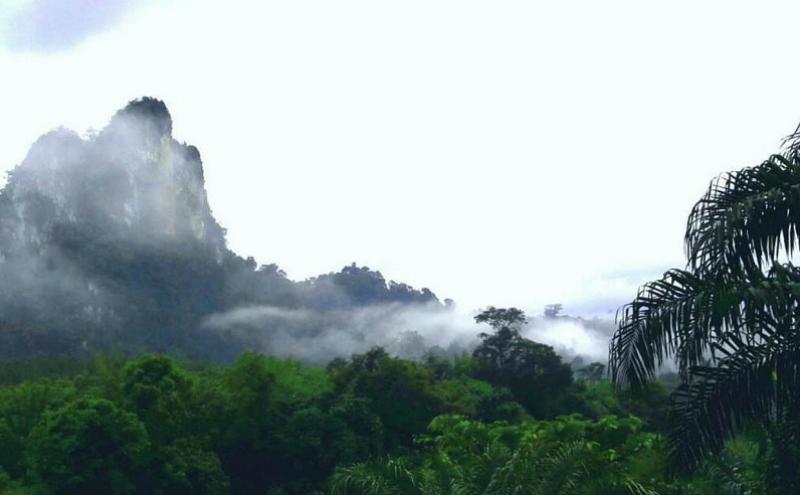 Khaosok Jungle Exploration Full Day Tour