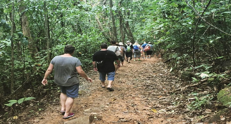 Khaosok Jungle Exploration Full Day Tour