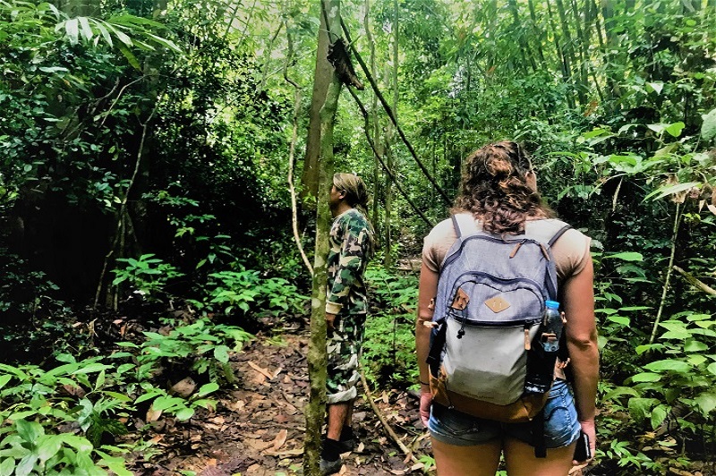 Khaosok Lake Safari Full Day Tour