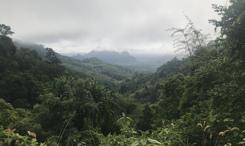 Khaosok National Park Discovery Full Day Tour