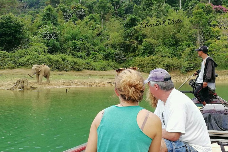 2D1N: Khaosok Lake -Wild life Safari