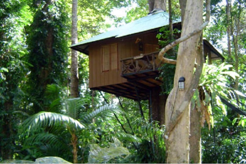 2D1N: Khaosok & Lake - Tree House