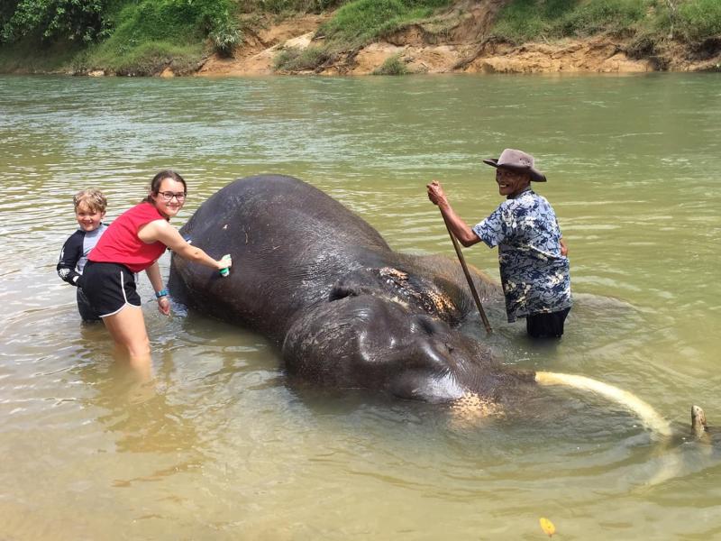 2D1N: Khaosok & Lake - Tree House