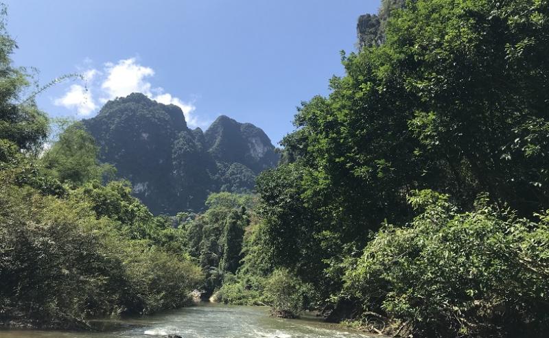 3Days 2Nights -Khaosok tree house & raft house