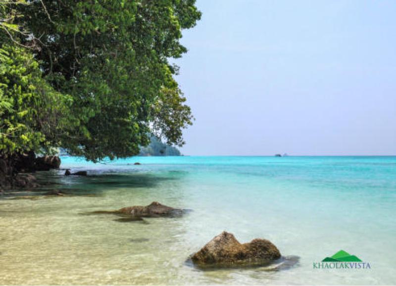Surin Snorkeling by speedboat