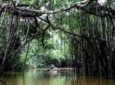 Nature & Culture Tour from Khaolak