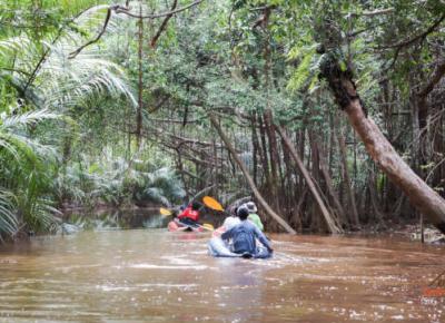 Little Amazon & Local Sightseeing Day Trip