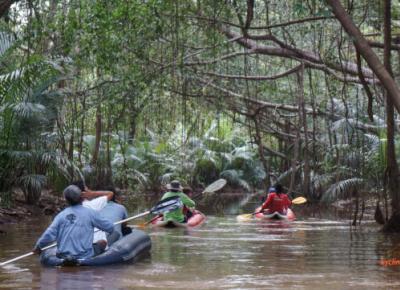 Little Amazon & Local Sightseeing Day Trip