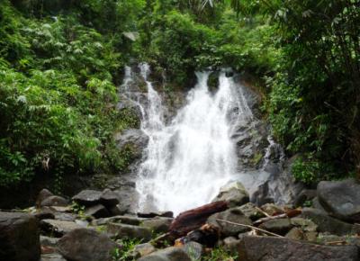 Little Amazon & Local Sightseeing Day Trip