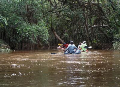 Little Amazon & Local Sightseeing Day Trip