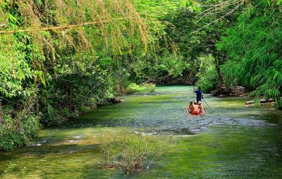 Bamboo Rafting Day Trip from Khaolak