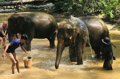 Elephant Bathing & Feeding Trip form Khaolak