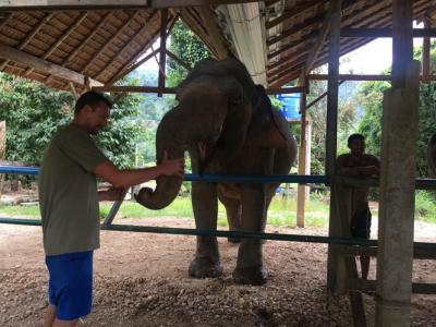 Elephant Bathing & Feeding Trip form Khaolak