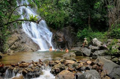 Elephant Bathing & Feeding Trip form Khaolak