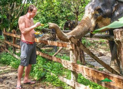 Elephant Bathing & Feeding Trip form Khaolak