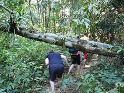 Khaosok Jungle Exploration Full Day Tour