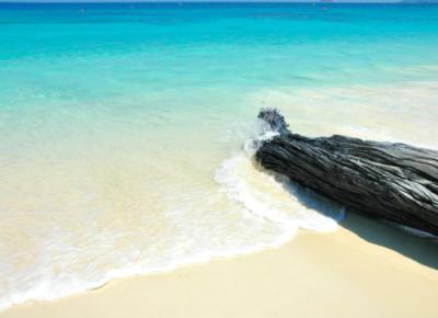 Similan Snorkeling by speedboat